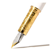 Acme Ferris Wheel Press Fountain Pen Bijou Fabled Feather Medium 1000164_3