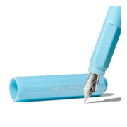 Acme Ferris Wheel Press Fountain Pen Carousel Feathered Flight Fine 1000412_2