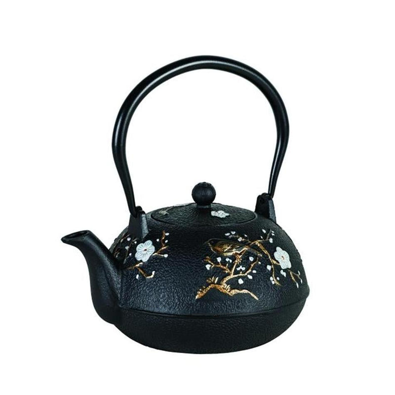 Avanti Blossom Cast Iron Teapot - 1.1L_1