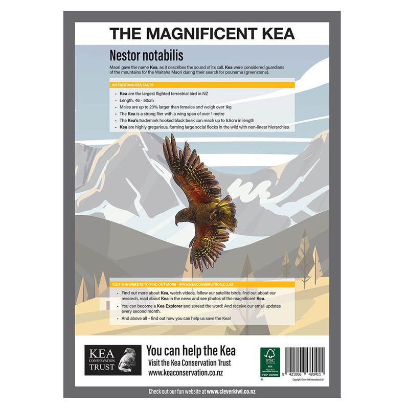Clever Kiwi Kea Studies Book_2