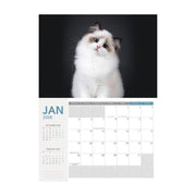 Collins A4 Wall Calendar Cats & Kittens 2024 11294613_2