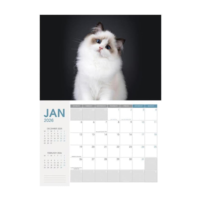 Collins A4 Wall Calendar Cats & Kittens 2024 11294613_2