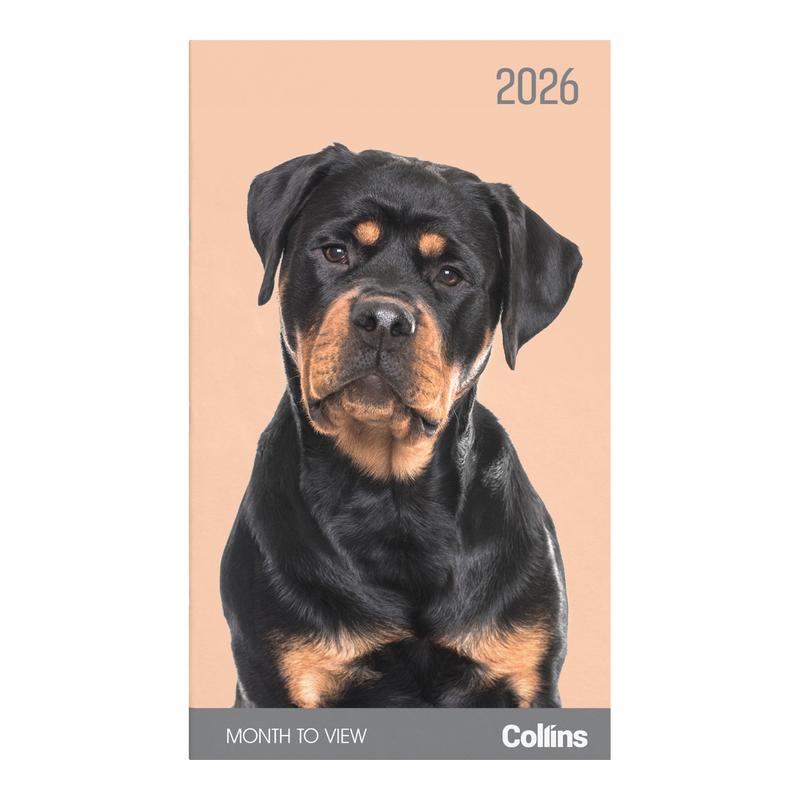 Collins Diary Slim Cats & Kittens Month to View 2026 11296187_3