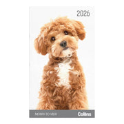 Collins Diary Slim Cats & Kittens Month to View 2026 11296187_4