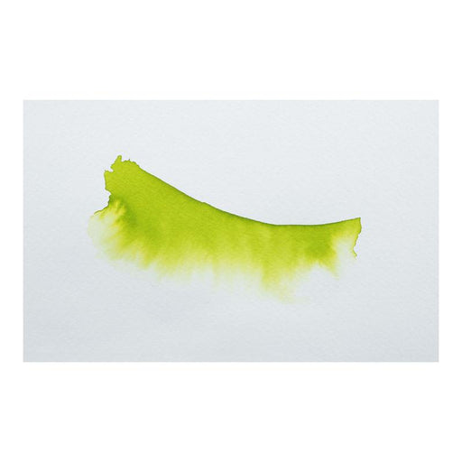 Jacques Herbin Eclats Watercolour Ink 530 Anise Green 50ml C16530T_2