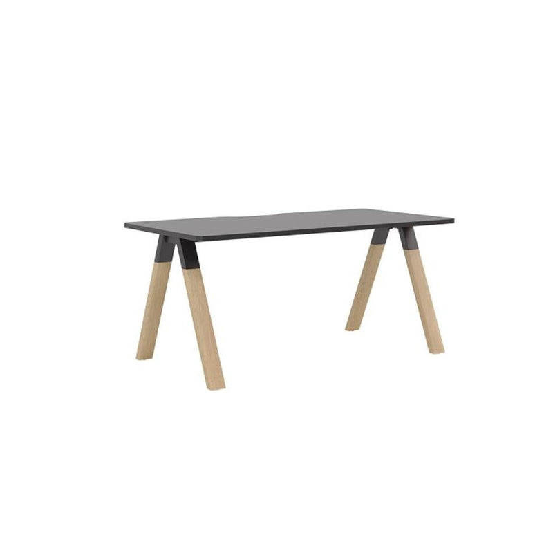 Ligna Desk_4