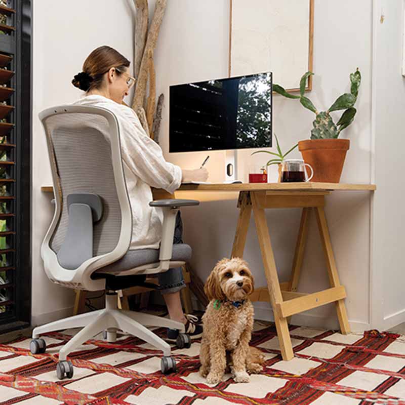 Buro Elan Mesh Back Chair