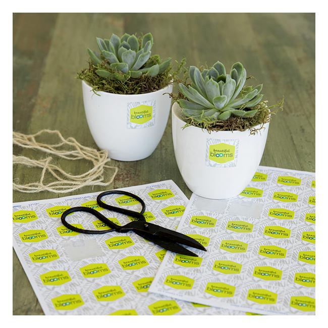 Avery Label L7119 Square White Glossy 35up 10 Sheets-Officecentre