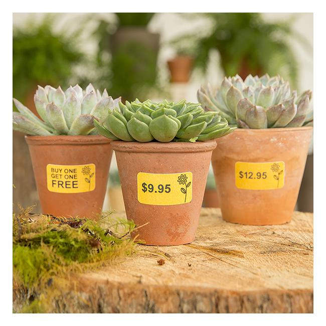 Avery Label L7144 38x21mm 65up 8 Sheets-Officecentre