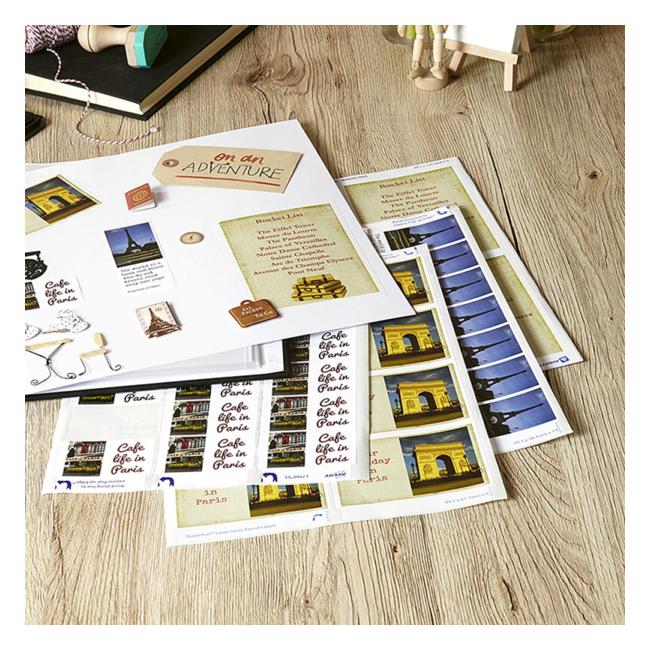 Avery Label L7767-25 Coloured 200x289mm 25 Sheets-Officecentre