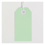 Avery Tag-It Pastel Green-Officecentre