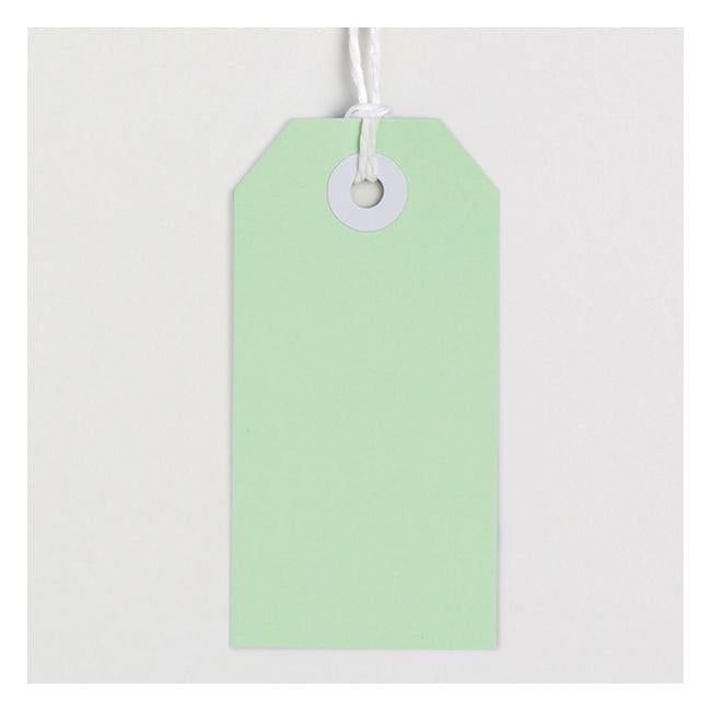 Avery Tag-It Pastel Green-Officecentre
