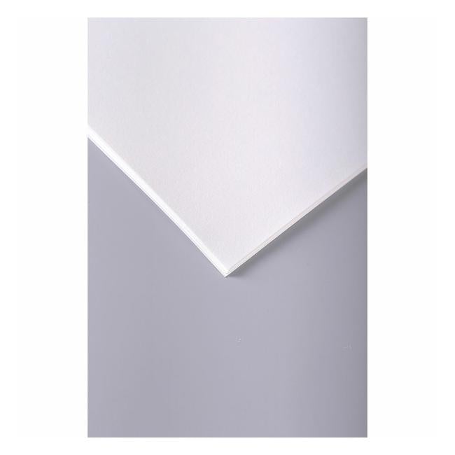 Clairefontaine Drawing Paper Grain 75x110cm 224g Pack of 10-Officecentre