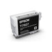 Epson 760 Light Black Ink Cart - Folders